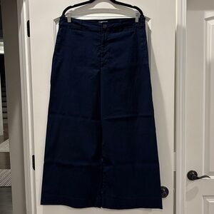 Navy Maeve Wide Leg Dress Pants, worn once